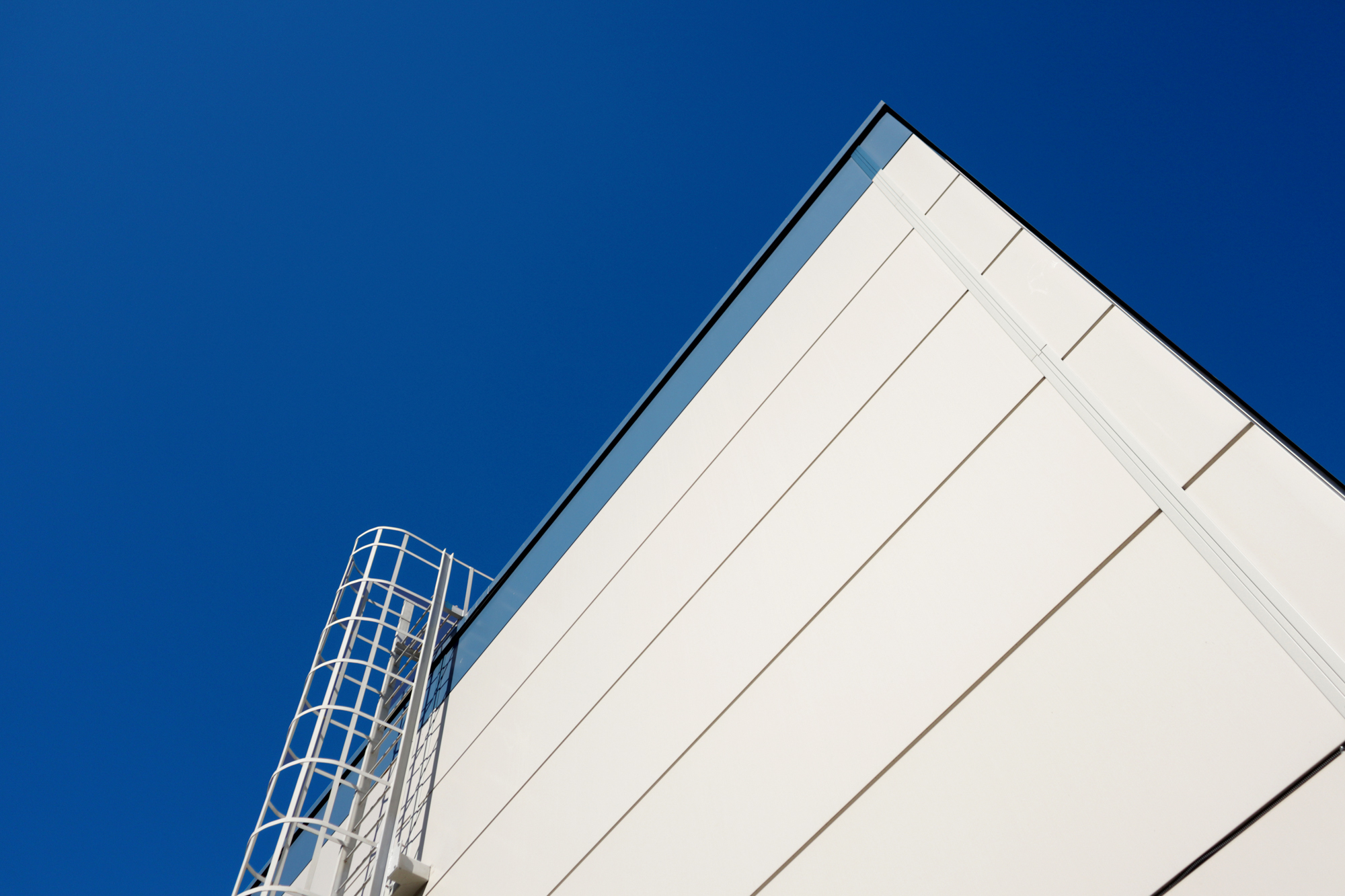 Уникальный облик ледового комплекса «Нева-Арена»:  новое знаковое место на карте Санкт-Петербурга