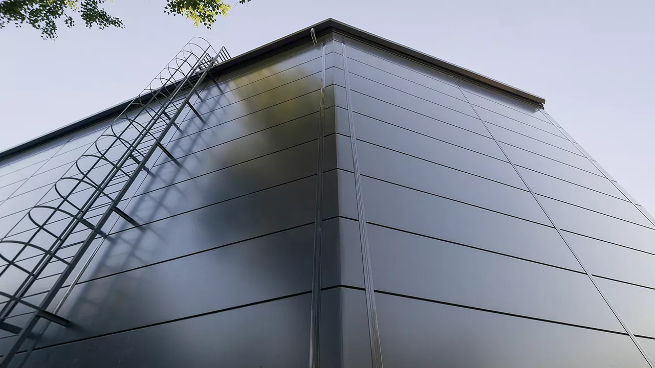 Снегирь Арена